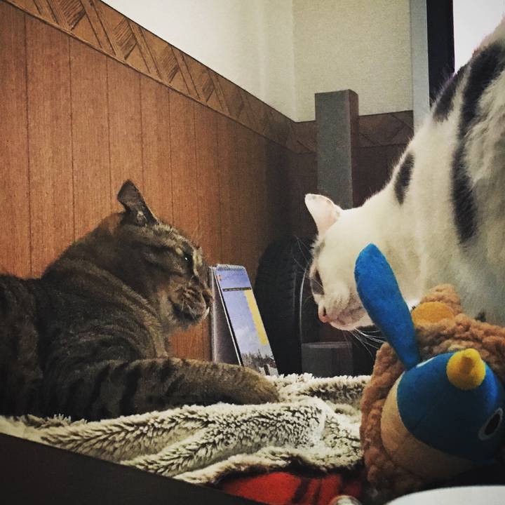 750ebd18 00fa 4dbf a7eb e541d33ea09c