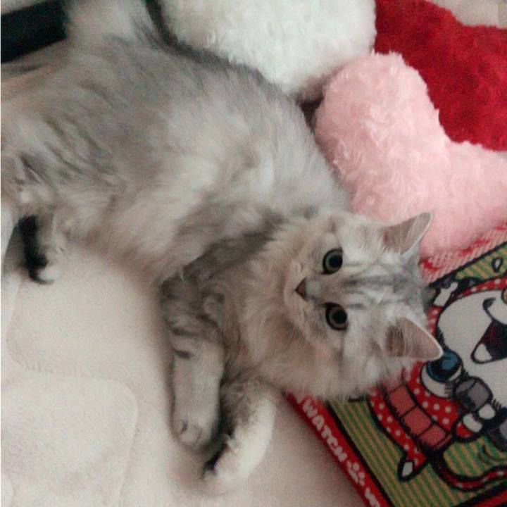 750ec6c5 8073 46aa b682 dc2496d533de