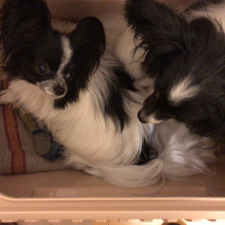 750f0684 c445 4f2c 8613 68d8ebd27714