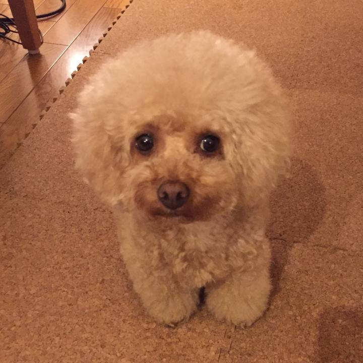 750f2136 1a02 4b64 a21d 0554b3dd70f0