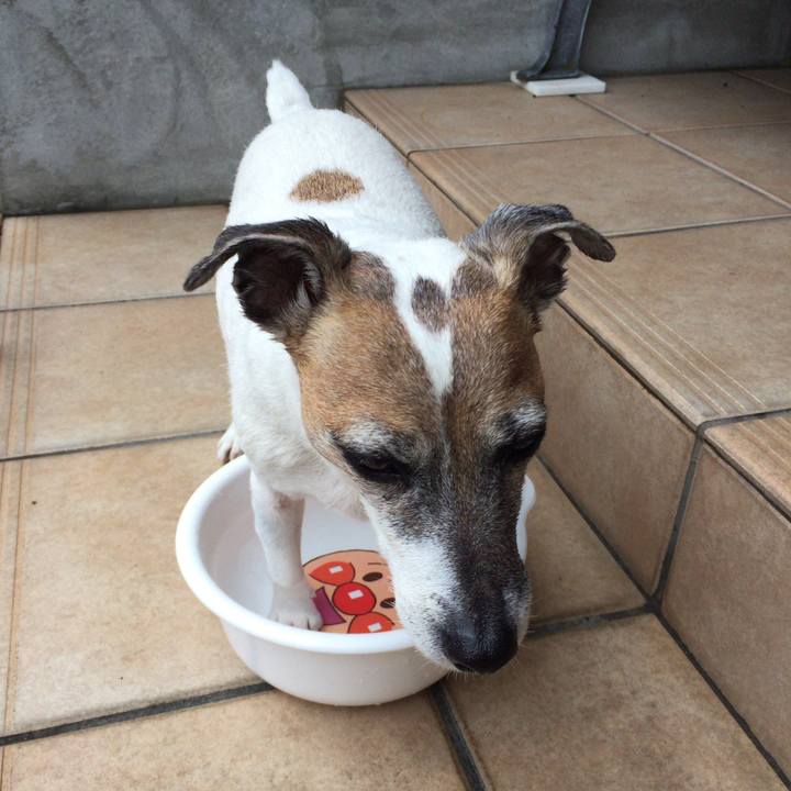 750f2142 7090 4b19 bc7d a2620865a235