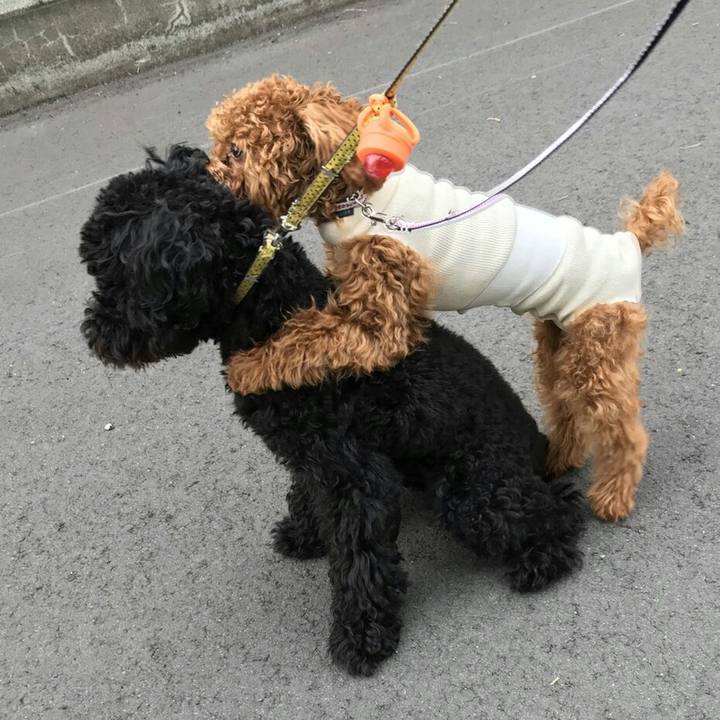 750f2291 53bc 4122 91d2 abd1638fc1d6