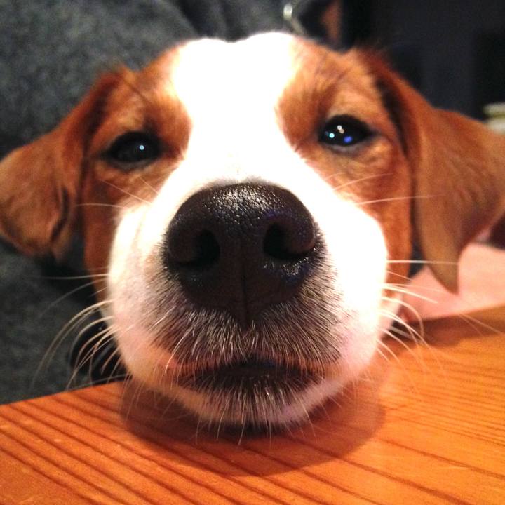 750f2808 3dee 407c 8fa1 cdd0097dc5f1