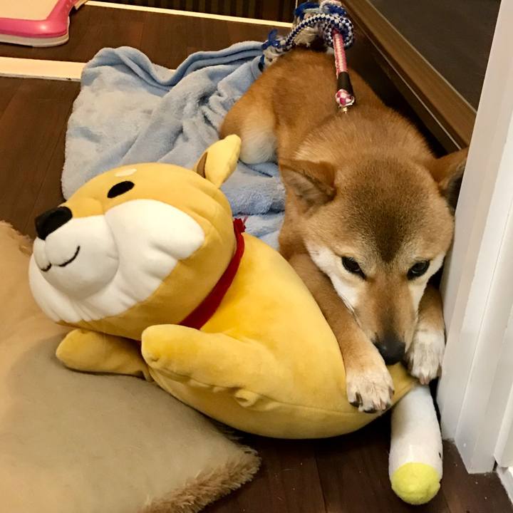 75103f7b 522a 4a3e 810c 1e6d97a6e58e