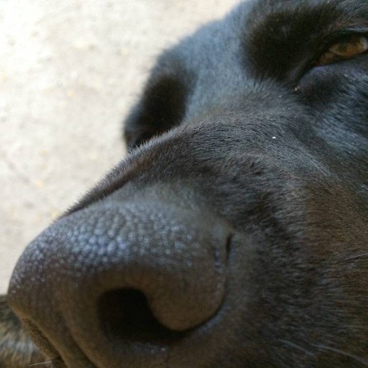 7510dbca c489 4289 87e7 f3be4e4889fc