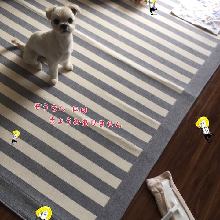 751265b2 eb3b 45ab 8fda 5e6712a80bd0