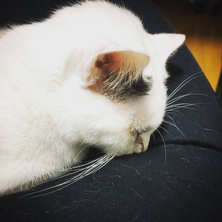 7512fb35 0198 48a3 b6ea d016c163028f