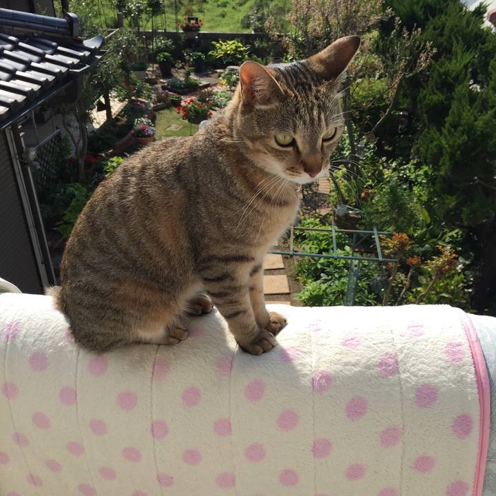 7513ff0e b8a2 4b02 9cc1 0f1c0f7ddb94