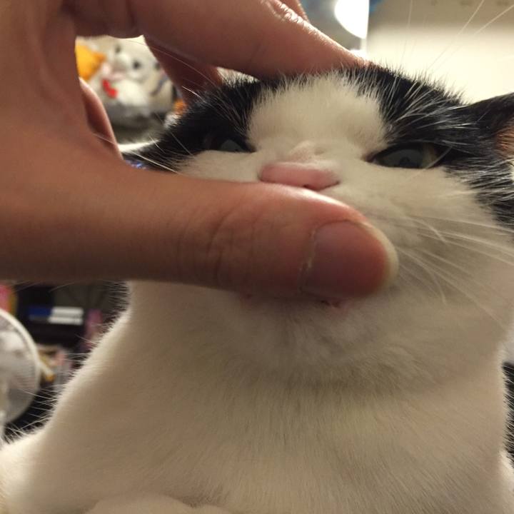 75146213 57fe 4eb4 93d3 649b88697479