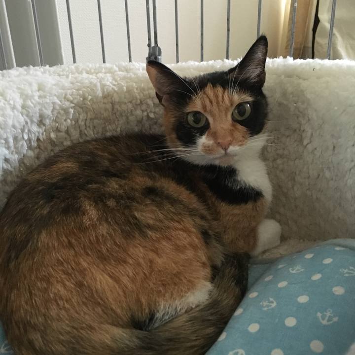 7514c01b e619 4032 b0f1 14b6d7f18e9f