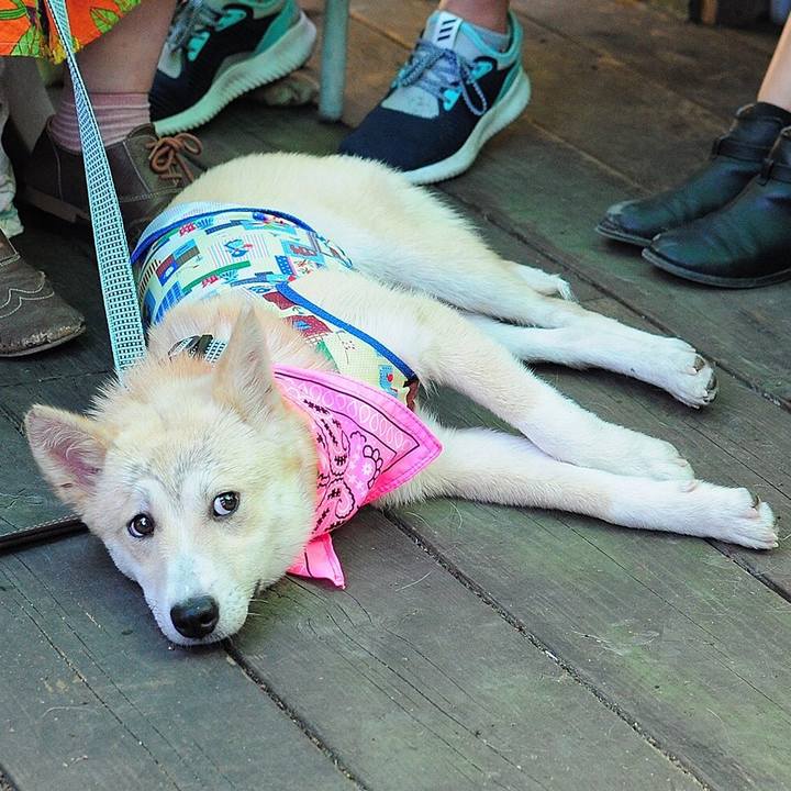 7514c276 54c9 4f9b ab40 54cfe5474fb8