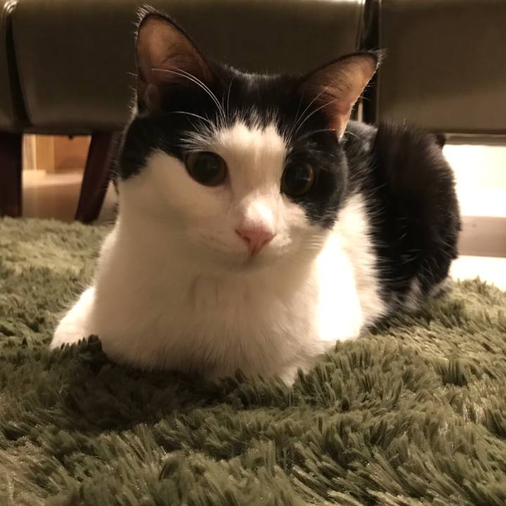 7514cc22 f8fe 49ae af96 bc09fdd5d803