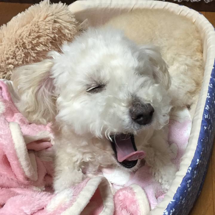 7514cc68 0565 415f 8272 600e4f64b339