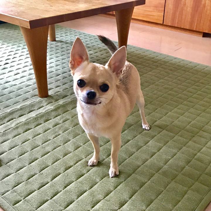 75155c96 5a13 4711 8aa3 0d58557a00ec