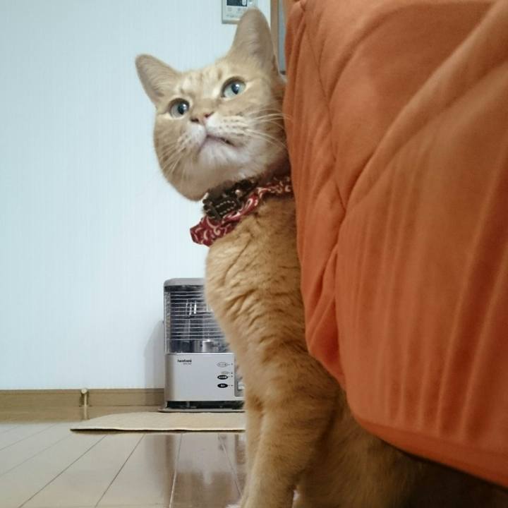 75157c73 4b3d 40c2 89bf 6d5baa7cac7b