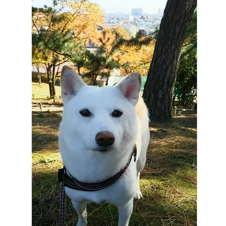 7516d1e7 bb6c 4b47 b6d4 22c1aca00da8