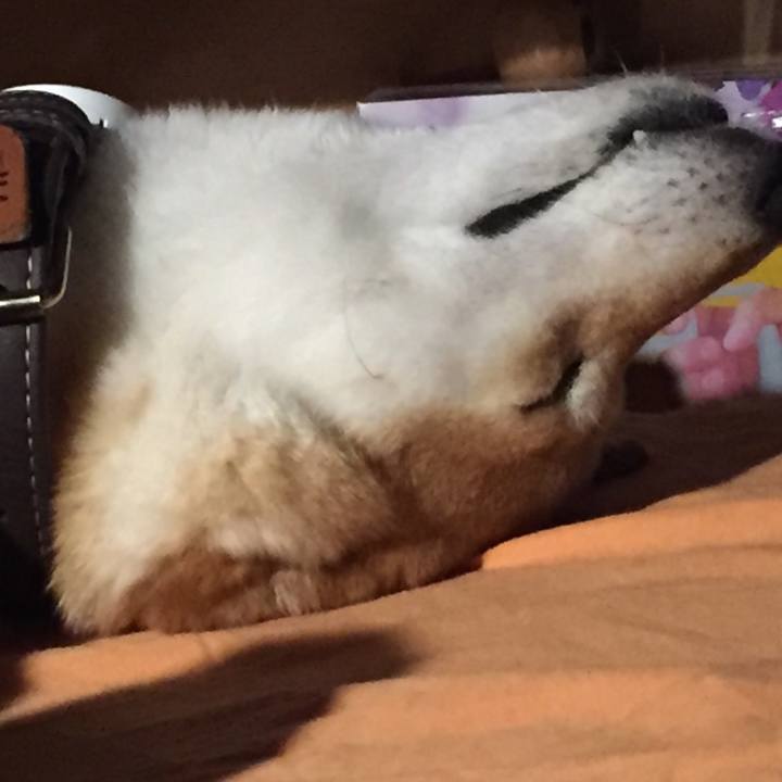 75180a19 47d3 40c4 a367 b2ea607825fd