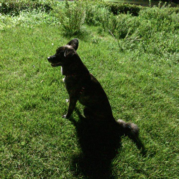 7518d764 ff26 4e7b 9e81 c46c84e9f204