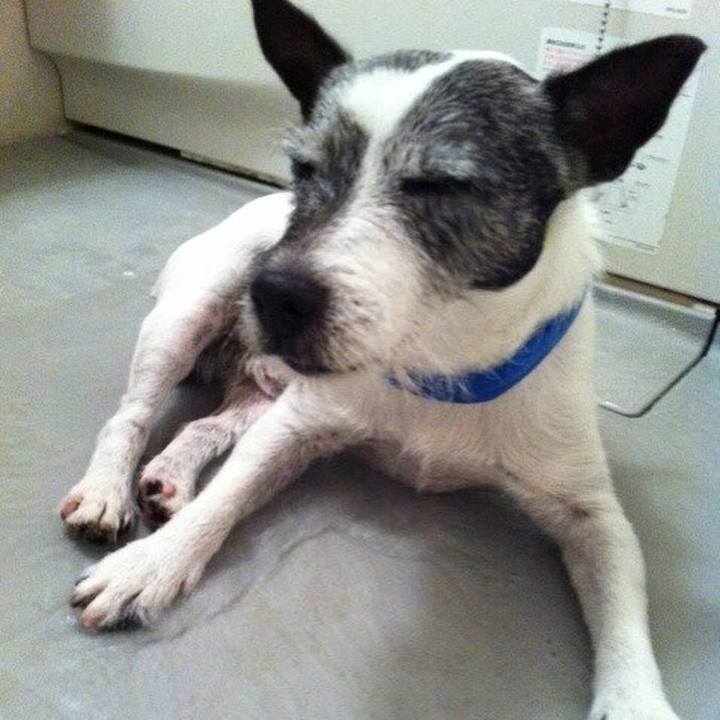 75190bd4 341c 4e97 b264 acb6c0be0f4f