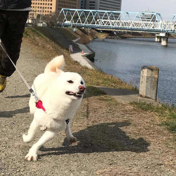 75195269 6aeb 4046 9101 76c1637d3d01