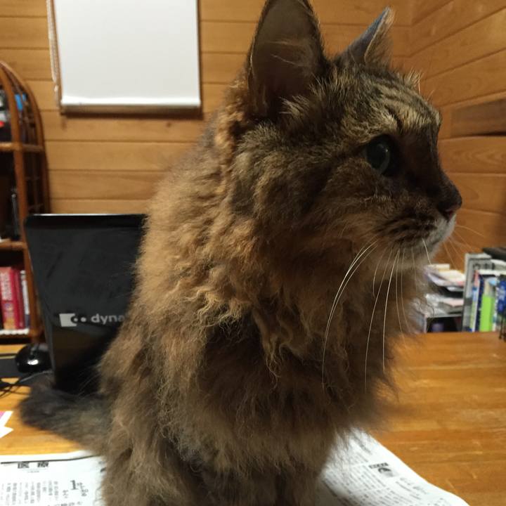 75198cac 6ae1 4589 8c3b aab1570cb367