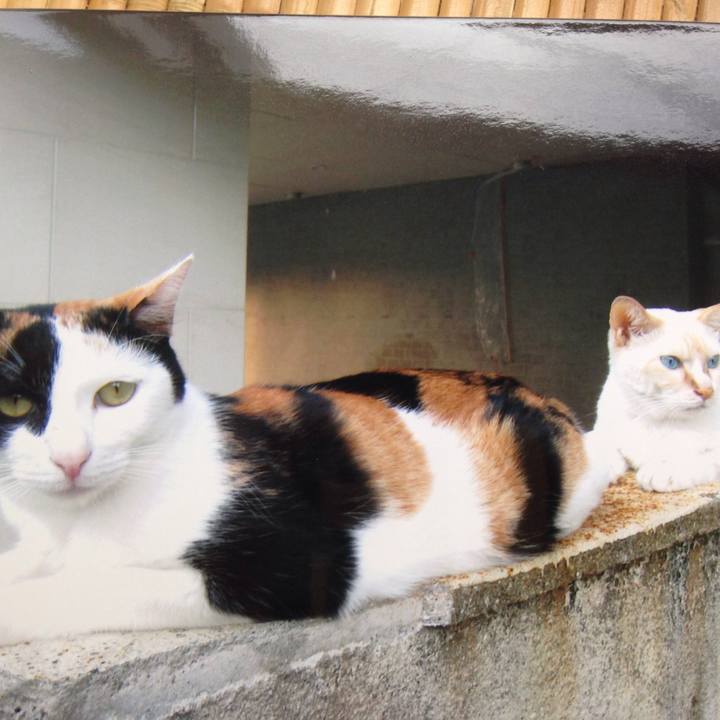 7519cd35 93a8 49e8 b645 3625362aafcb