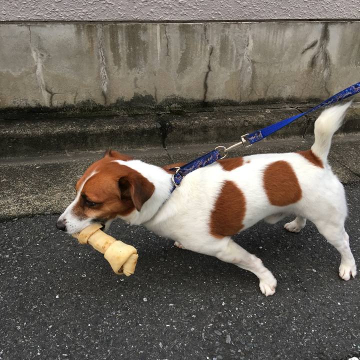 7519d4f4 c8de 4f75 bedf 02d9d2cc135a