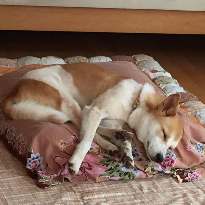 7519e5a8 fb72 4d75 84c5 90281999eed0