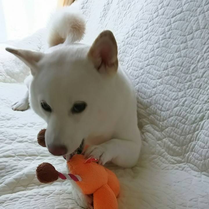 751a92ec 0956 4aa6 9b9e cf38de517292