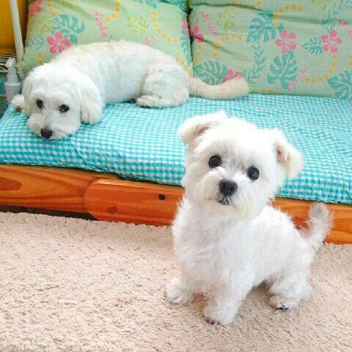 751abc19 59be 452e 887f 7d01159f18f5