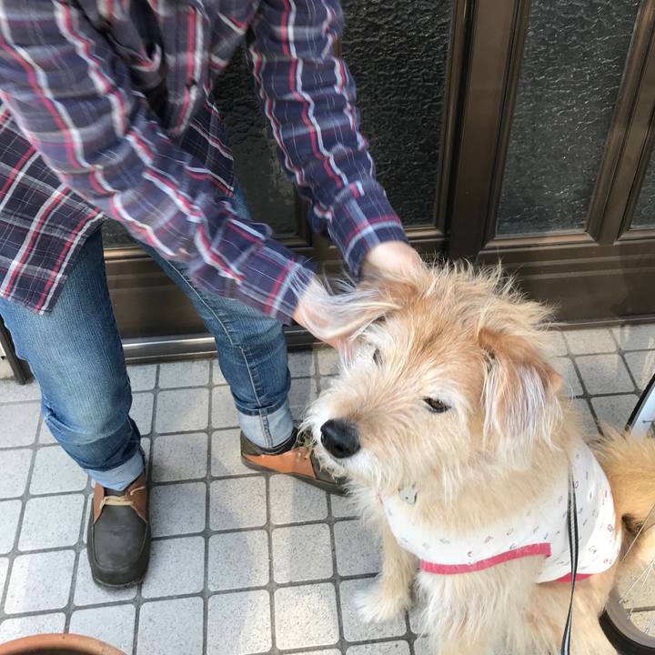 751acad8 53c8 4a51 abeb 5707768cfb09