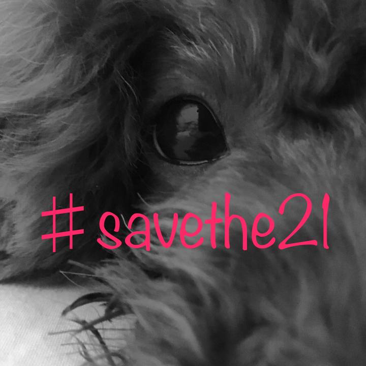 751ad213 c2a3 4d24 bd6e 0a720547234b