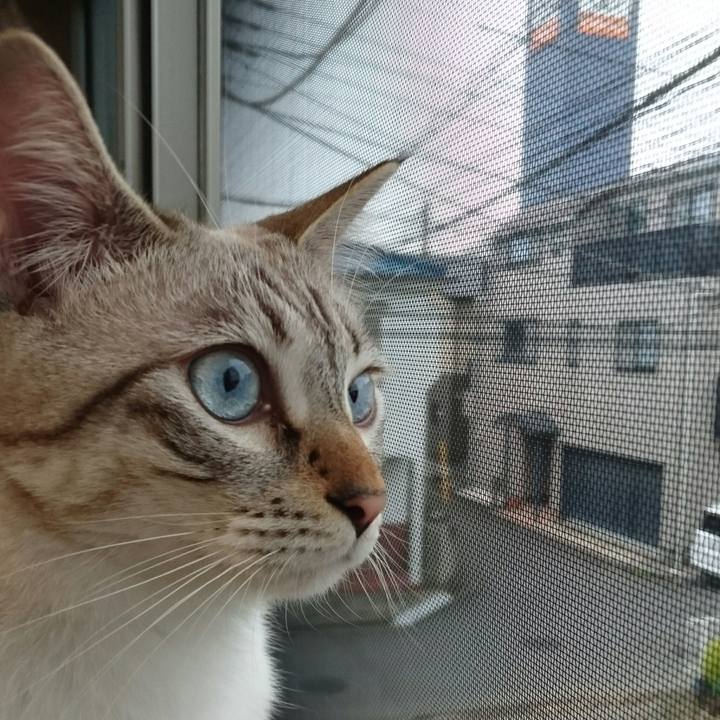 751ad5b8 941d 4b16 bc6e fa3ae2d0be27