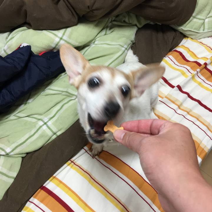 751ad715 9253 486c b2b4 46dc7738e954