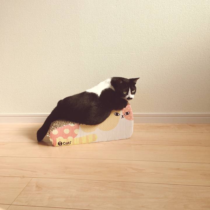 751ae8be 7b15 469e aeeb 40cf65fe9623