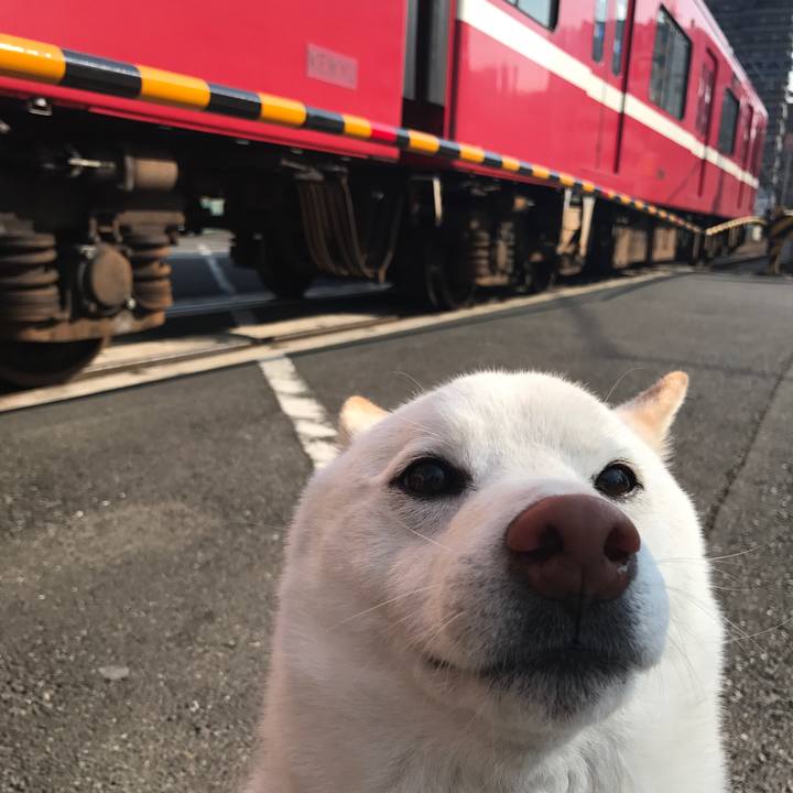 751b3534 3e6b 40b6 a7fc c8db056db053