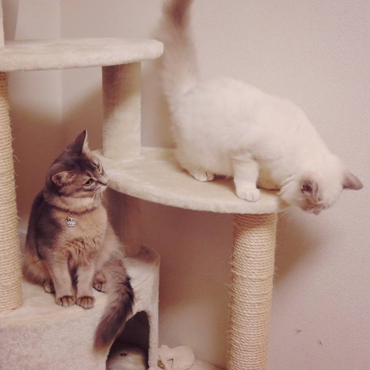 751b3f02 8b44 4bb3 9ecc a6905bae49ac