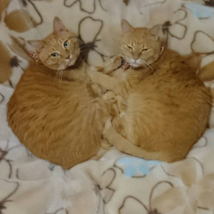 751b75eb d6d2 47bb b830 6618fc2b0825