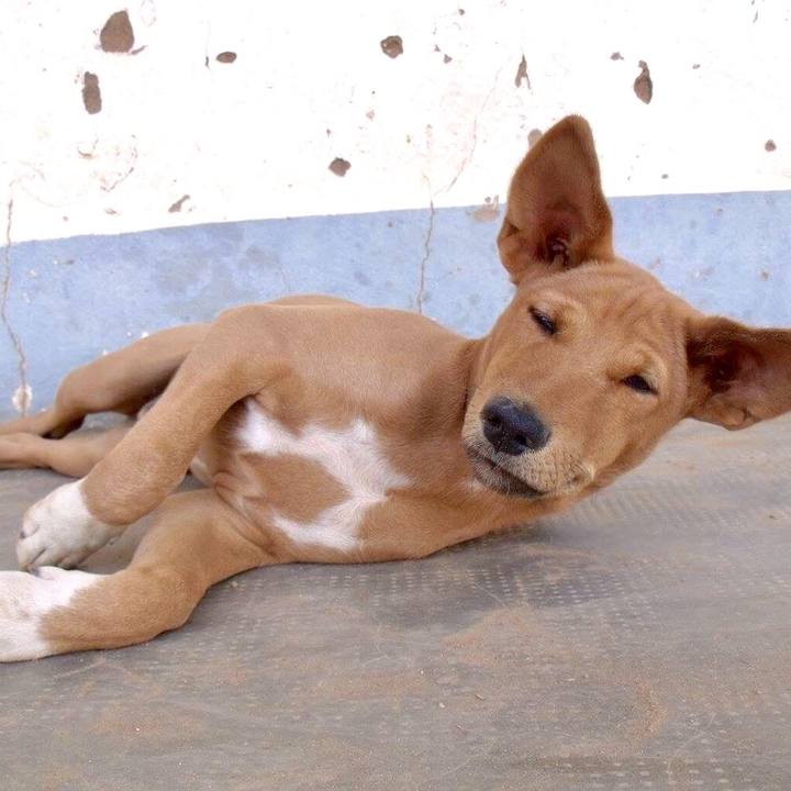 751bc8ed ccda 4f57 8ce4 f20c5ade5040