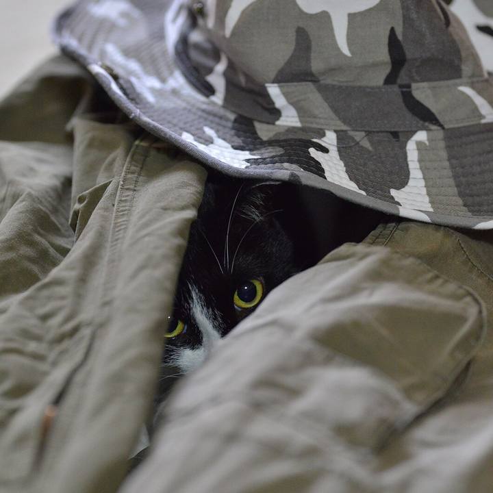 751c31ef cb0c 4148 b2c1 81b4005d8d66