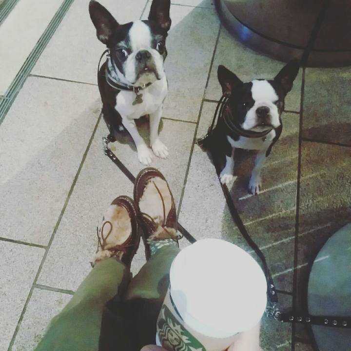 751d31d0 65a2 4781 a5d0 d532e2a25691