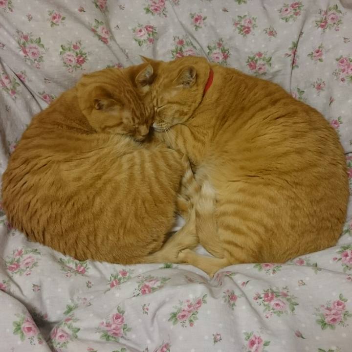 751e8002 8e27 4a90 92fa 92a5b3b6735f