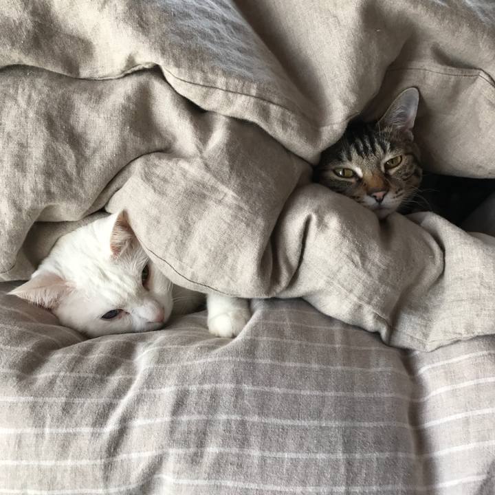 751ebf7c eb2f 4f3a 99f8 6fec4de9fc21