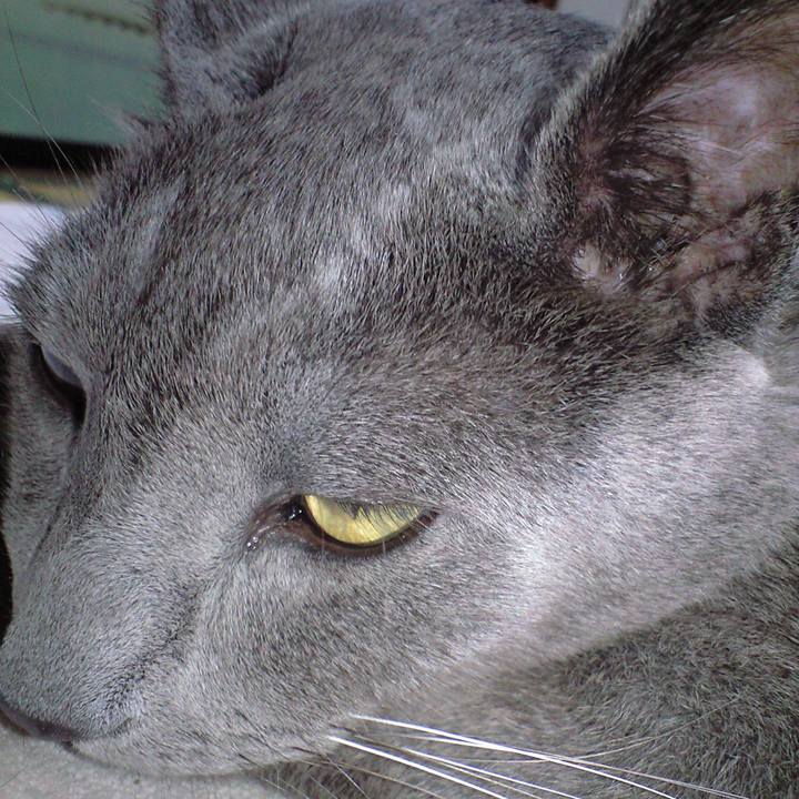 751f3fcf f9e7 4474 af95 38b589bb4990