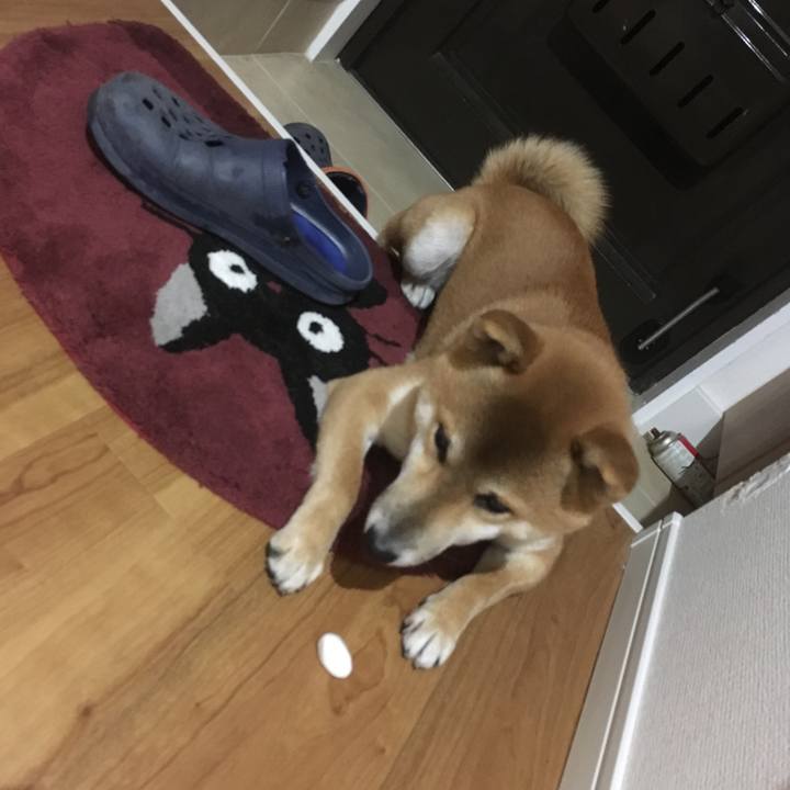 751f6775 2f88 426c b30c 5bb086a88be5