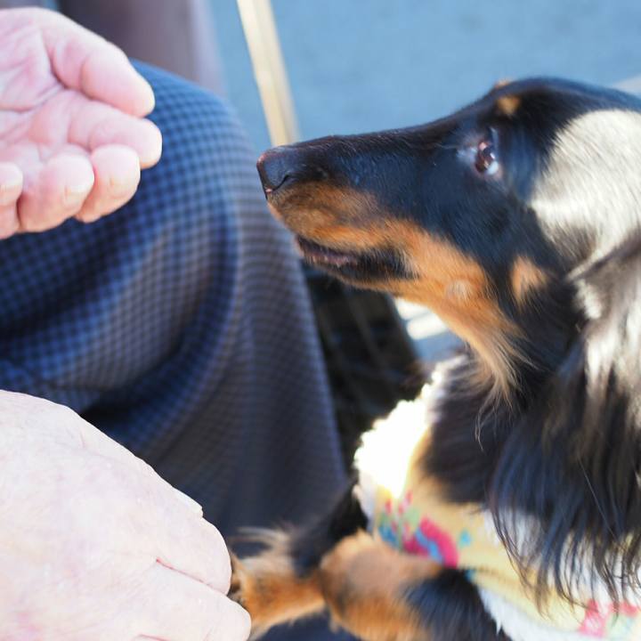 751ff50b 197f 4b19 a109 8207e1a6a056