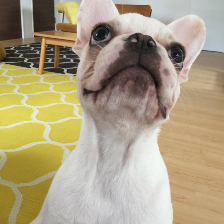 752020d5 3d7b 4686 be10 b4a8486e5c5d