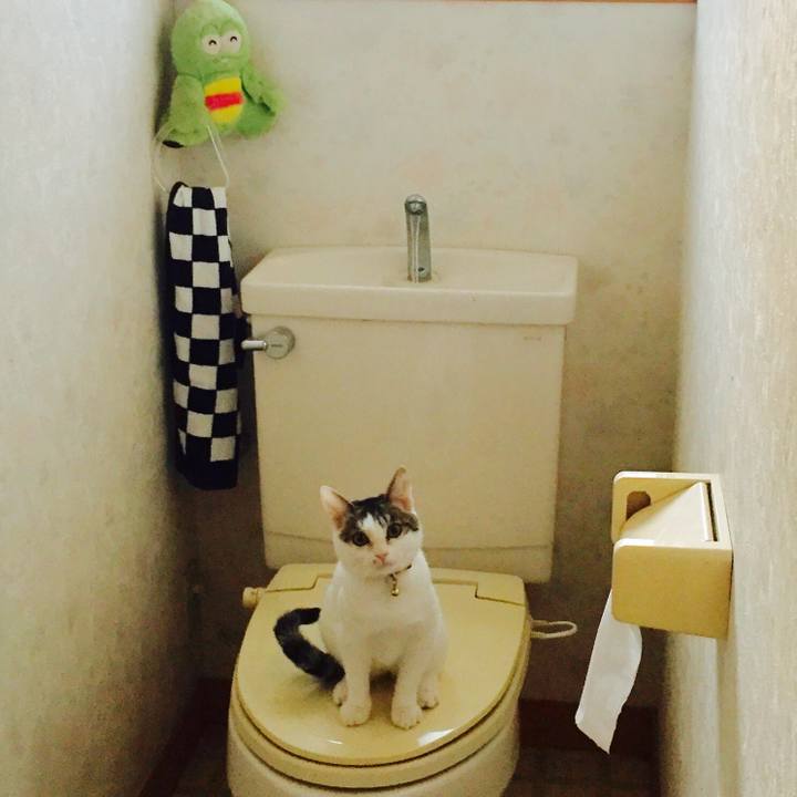 7520397b 63bf 4bdd b69c 2347a6703ea9