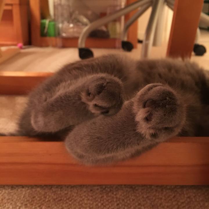 7520d573 22bd 4ccc be6f 37b30c7b4802