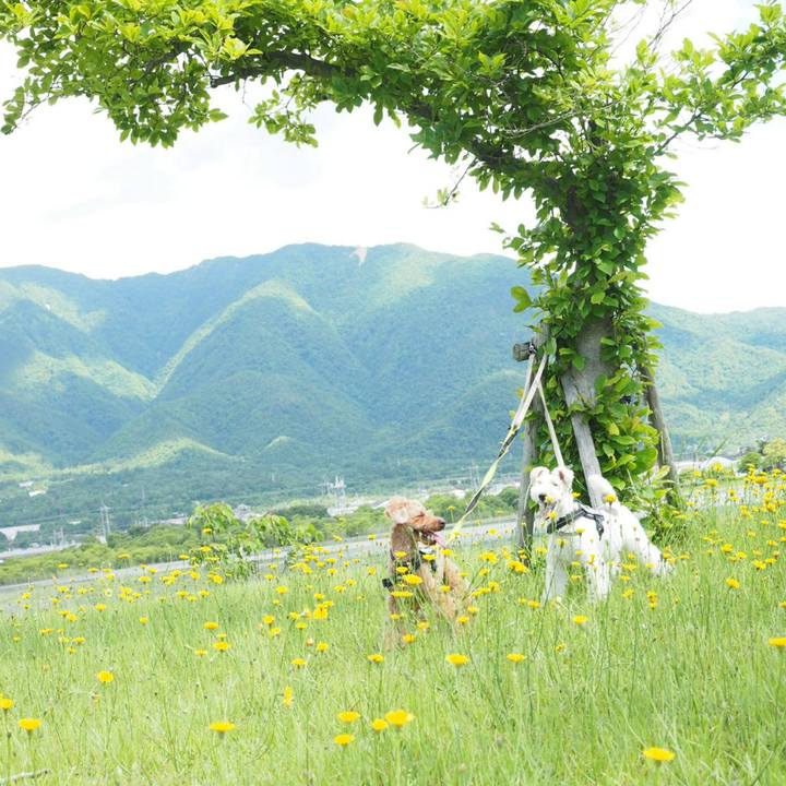 7520ef78 6544 479a 9f41 428694bc997e